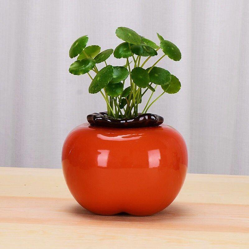 创意柿子水培花瓶器皿绿萝水养花盆鲜花客厅装饰桌面花瓶摆件