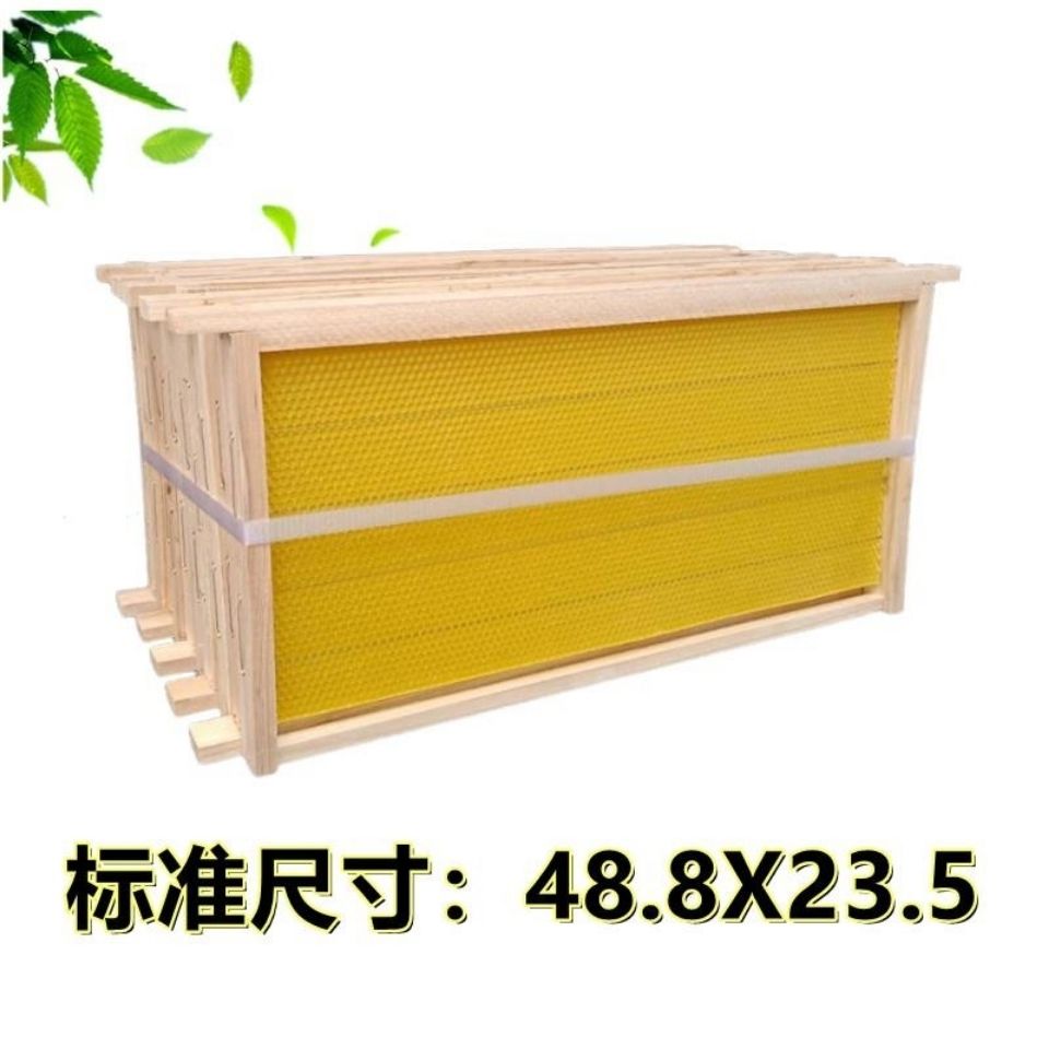 成品巢框优质杉木中蜂意蜂巢脾巢基蜂巢成品带框一体巢础养蜂工具