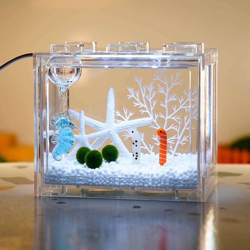 幸福海藻球marimo创意礼物微景观桌面USB白光灯治愈系网红小植物