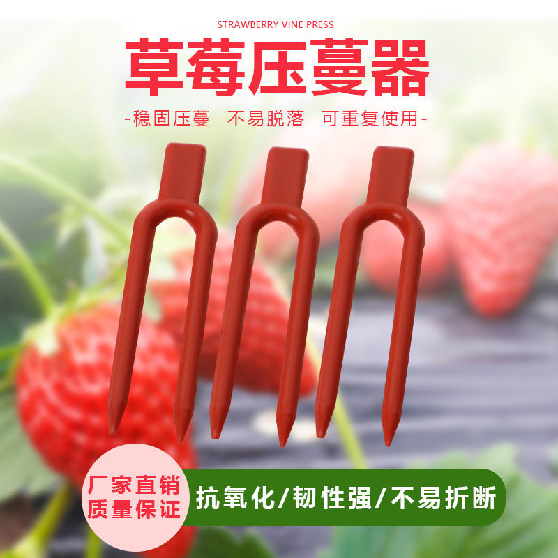 草莓压蔓器纯原料圆口压苗叉生根固定夹子藤曼固定器西瓜塑料叉子