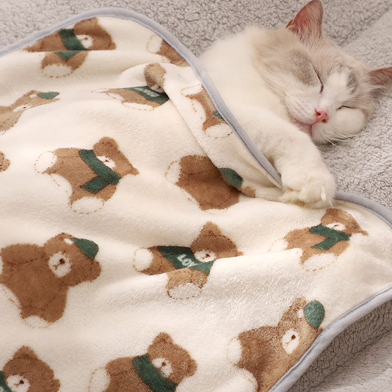 猫咪专用毛毯珊瑚绒冬天地毯宠物猫用小毯子踩奶垫子睡觉用小被子