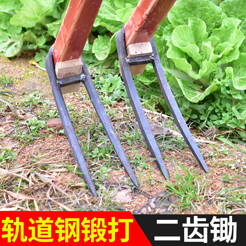 农用手工锻打锄头翻地松土工具种菜家用挖地多功能锰钢二齿锄耙子