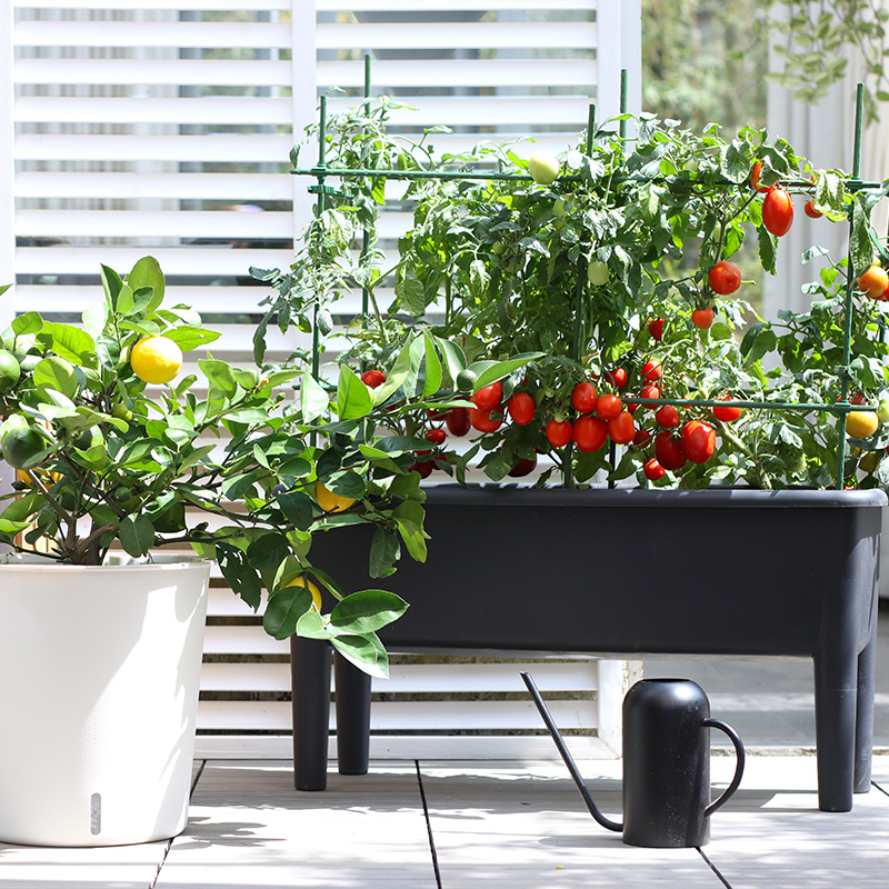 阳台种菜专用花盆楼顶长方形家用种植神器家庭塑料花箱蔬菜香菜葱