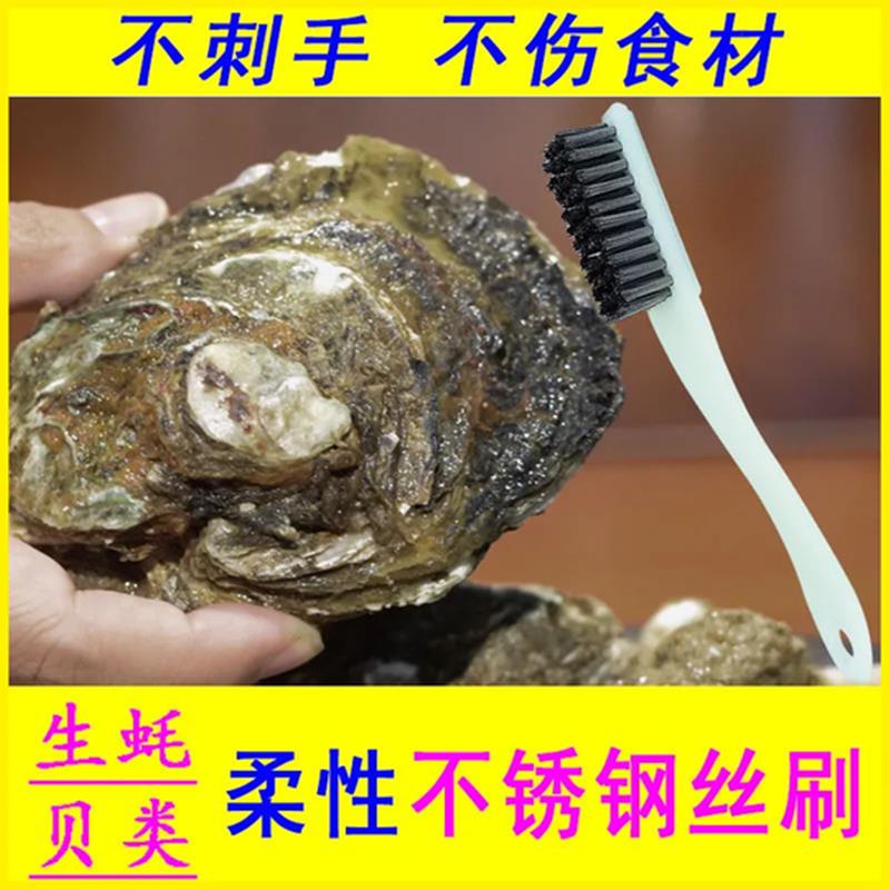 洗生蚝神器小龙虾鲍鱼螃蟹贝类清洗不锈钢丝刷子强力清洁海鲜专用