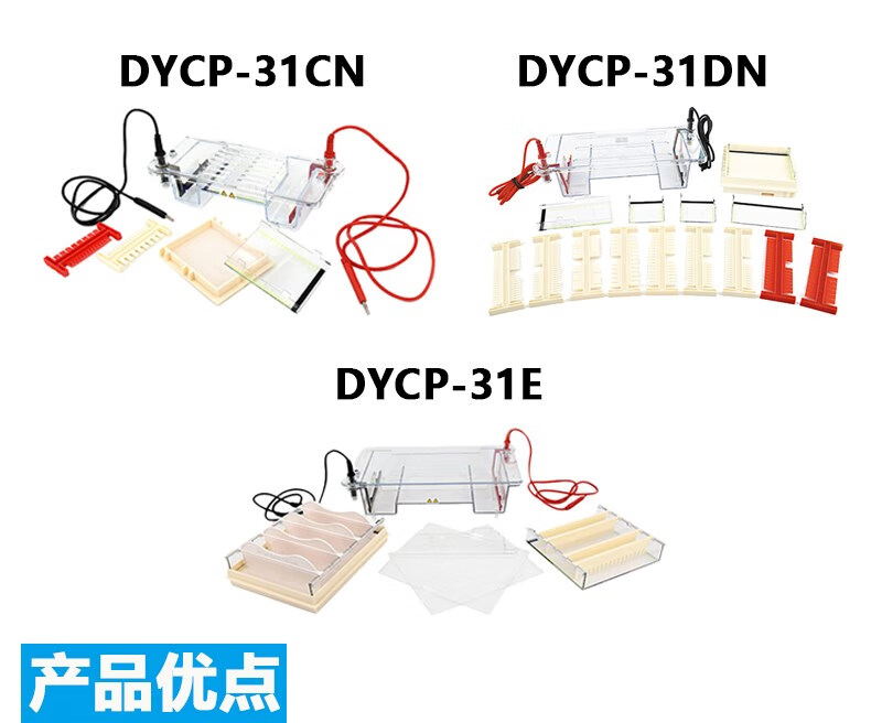 北京六一琼脂糖水平电泳仪DYCP-31DN核酸凝胶蛋白电泳槽制胶器DYC