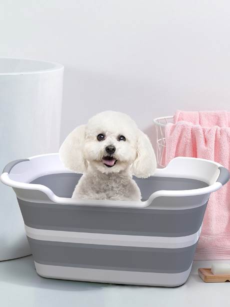 小狗狗洗澡可排水折叠宠物浴盆浴池猫咪多用途浴缸洗衣脏衣收纳篮