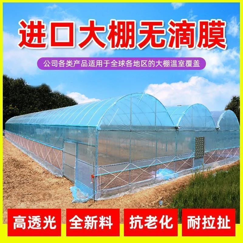 网红抗老化大棚塑料膜长寿无滴膜po膜透明加厚塑料布蔬菜养殖保温