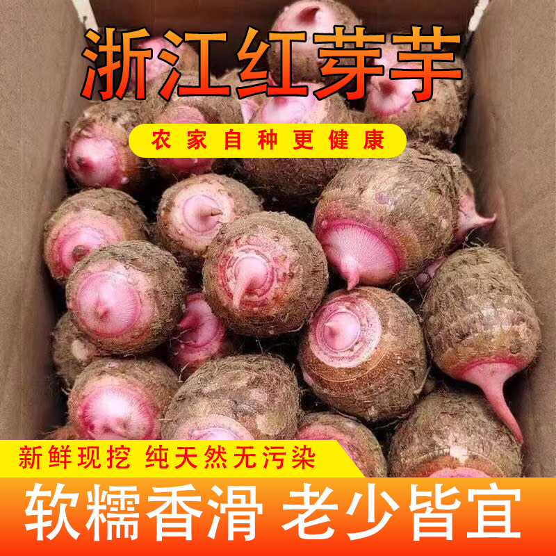浙江金华现挖红芽芋头新鲜农家软糯小芋头仔农产品红梗芋艿5/3斤