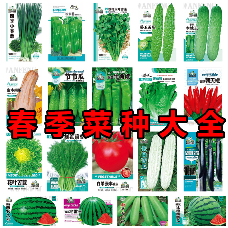 各种春季瓜果蔬菜种子黄瓜空心菜韭菜生菜茄子种籽大全阳台盆栽孑