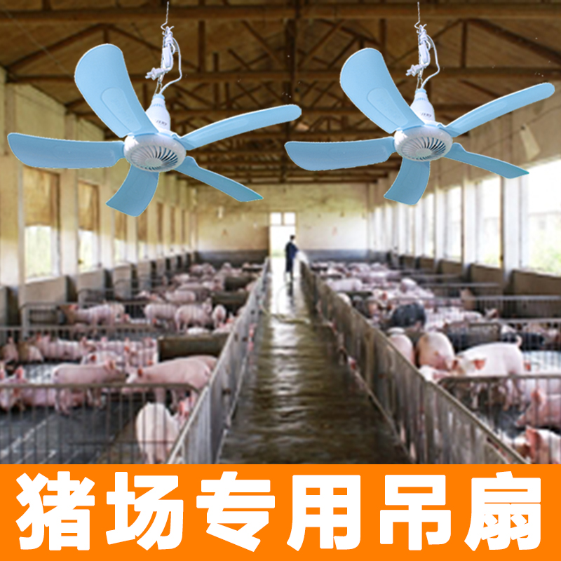 猪场专用吊扇养殖猪舍工厂猪用猪厂降温大冷风饲养电扇猪解热神器