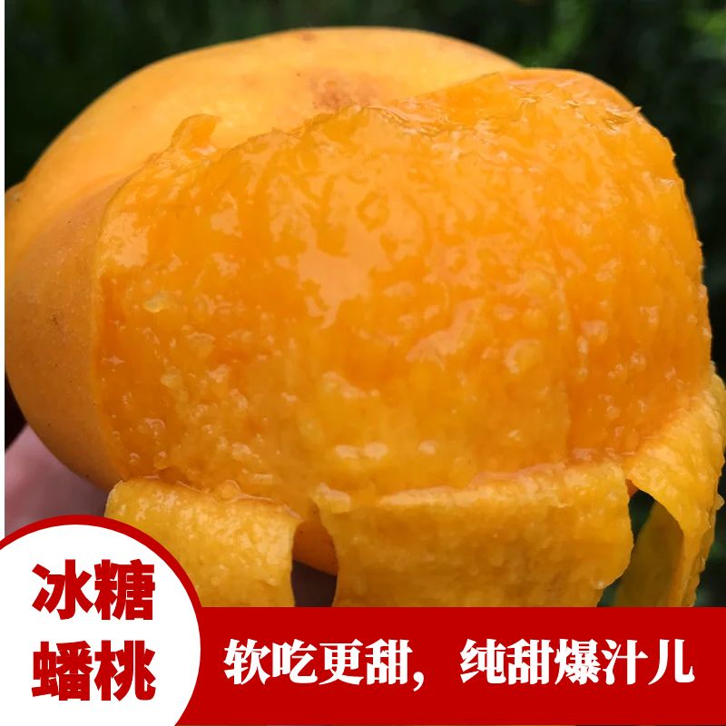 （断货）北京平谷冰糖黄油蟠桃软甜爆汁儿软甜净重超4斤