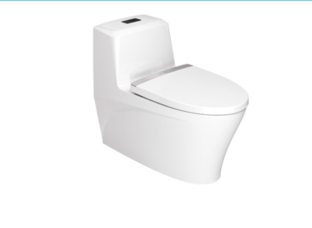 美标正品 思睿4.8升节水型连体座厕（标准版） CCAS1832