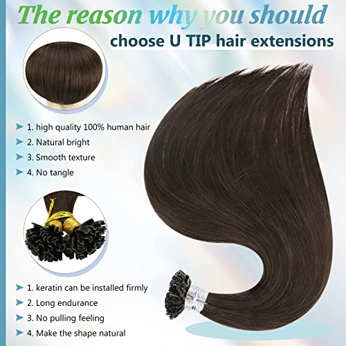 推荐Full Shine U Tip Hair Extensions Human Hair Color 2 Dark