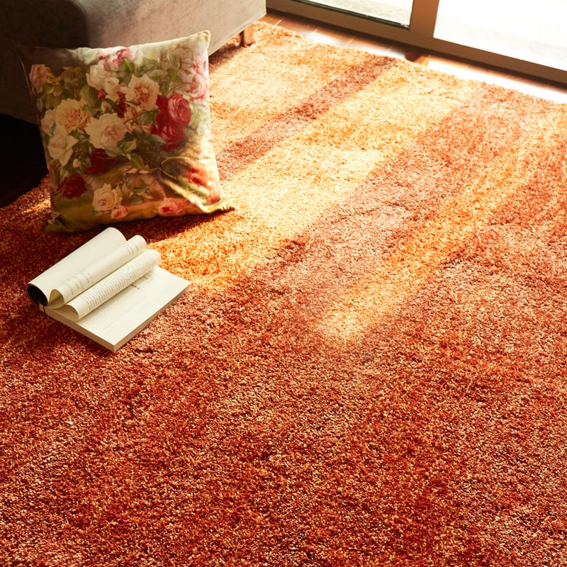 客厅沙发茶几地毯 现代简约卧室床边毯满铺 欧式茶几毯日韩纯色