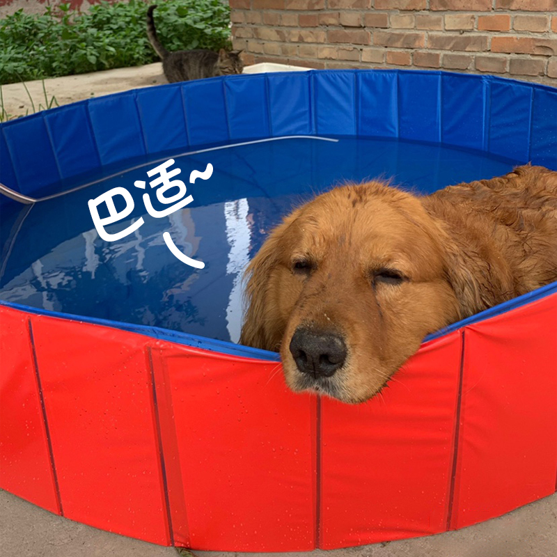 狗狗洗澡盆可折叠大型犬金毛专用宠物游泳池浴缸洗澡桶洗猫咪浴盆