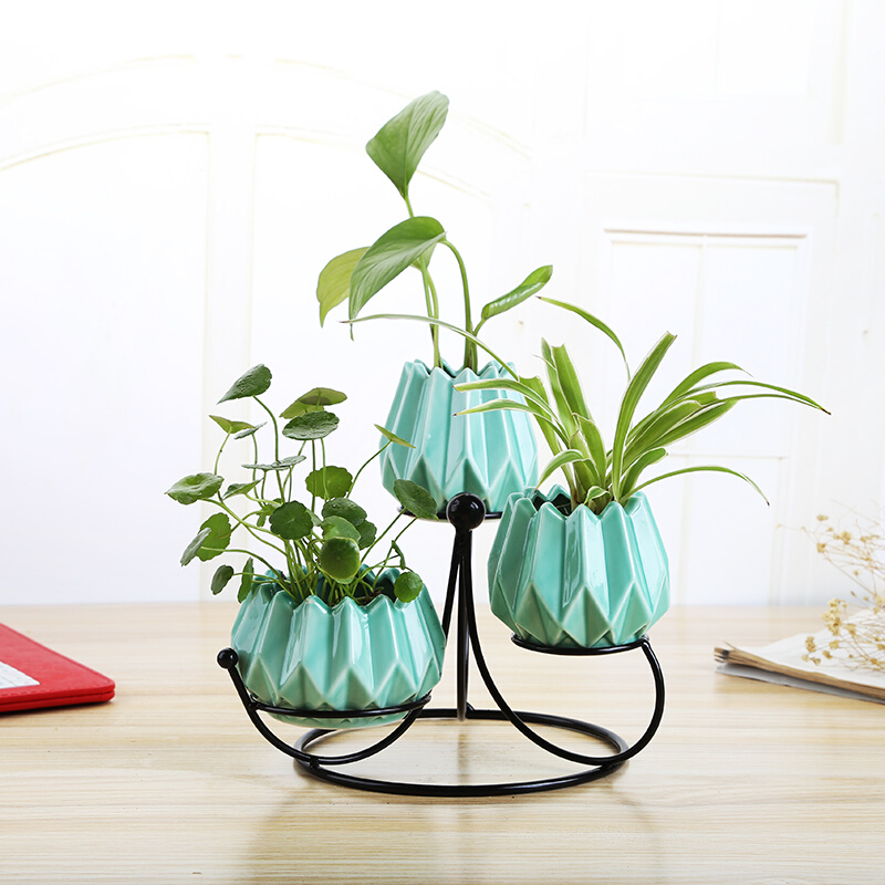 创意陶瓷水培植物花瓶简约新品小清新水养花盆家居装饰品摆件迷你