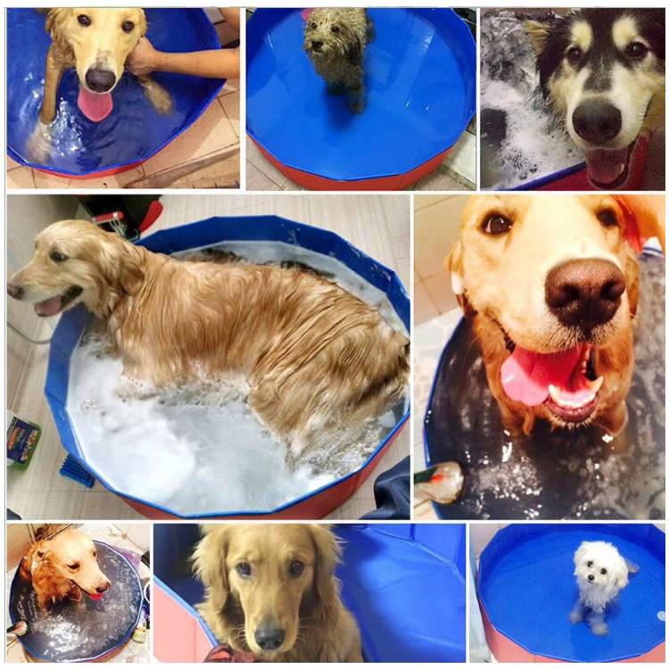 猫狗洗澡盆宠物可折叠大型犬金毛狗狗专用游泳池浴缸洗猫咪洗澡桶