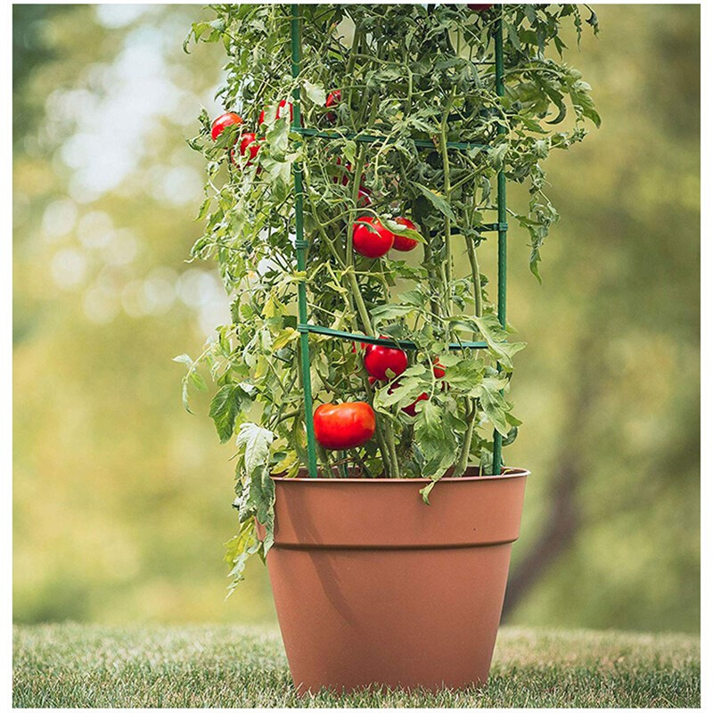 番茄西红柿圣女果架子爬藤植物攀爬支架多层伸缩花架可调大小组装