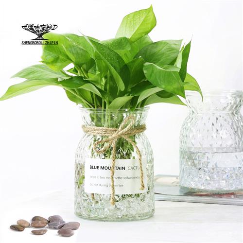 创意菱形花瓶透明加厚水培植物绿萝桌面简约花瓶房间精致装饰包邮