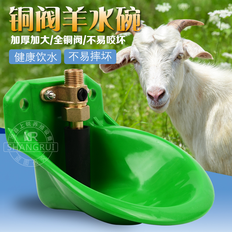 羊用饮水器塑料加厚饮水碗铜阀门喝水槽钢板养羊设备自动出水神器