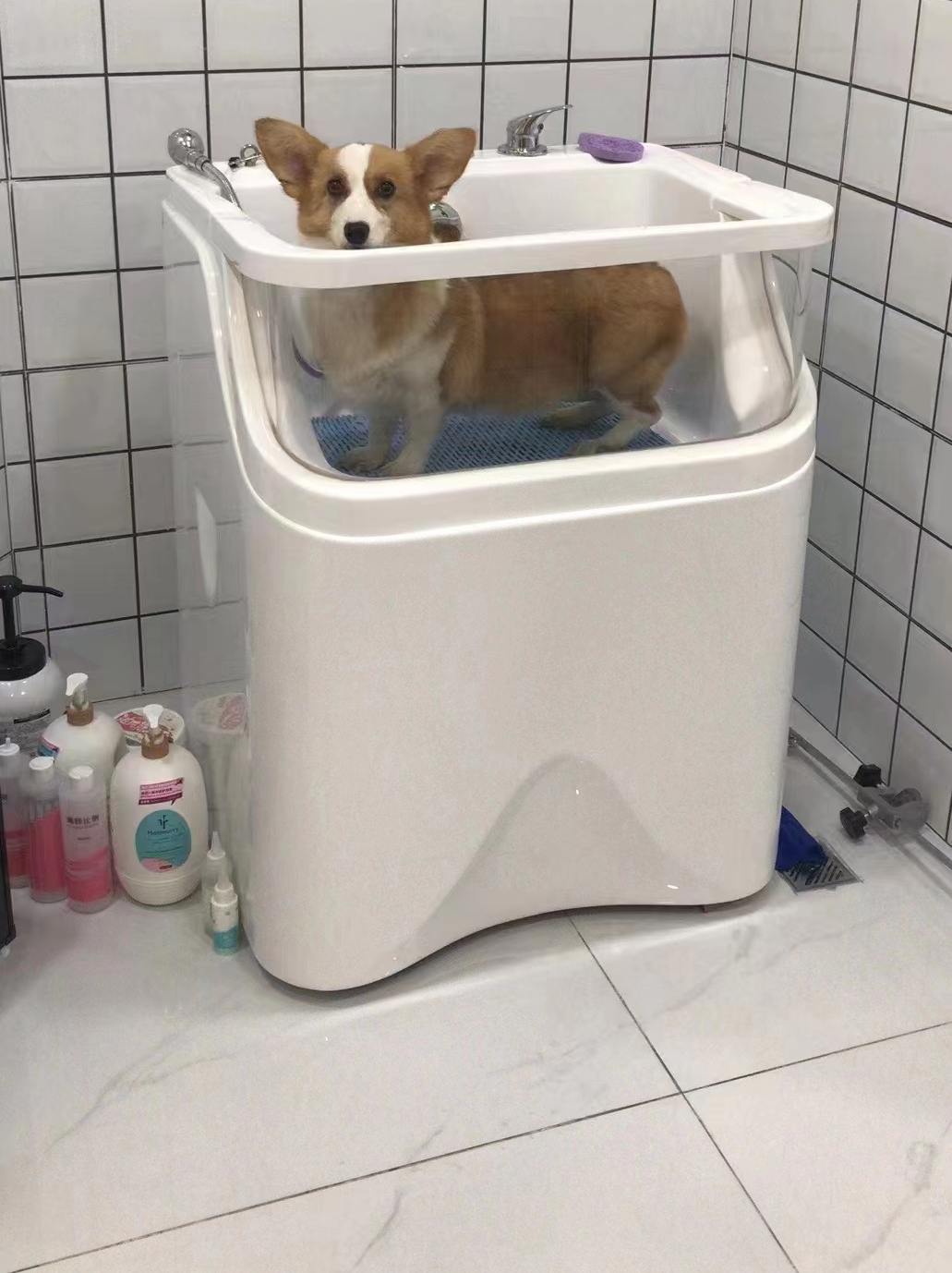 宠物SPA缸机浴缸中小猫咪狗浴池按摩池洗澡池浴盆泡泡浴彩灯气泡