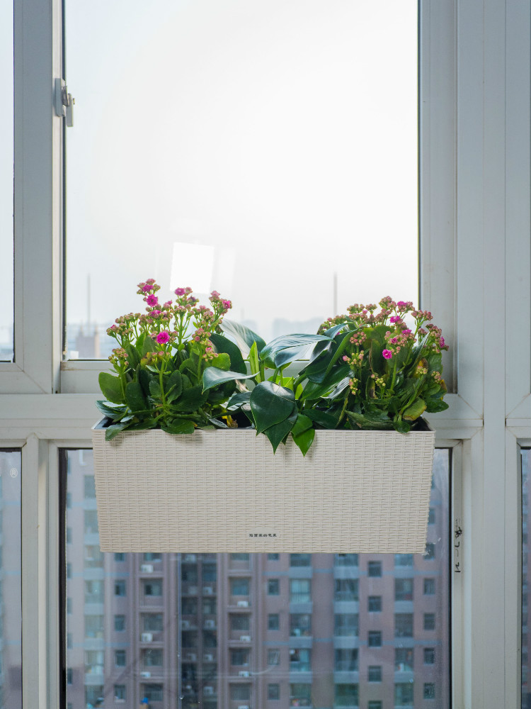 挂在窗户上的花盆阳台窗户花架窗沿挂式花盆长方形窄窗户卡槽挂架