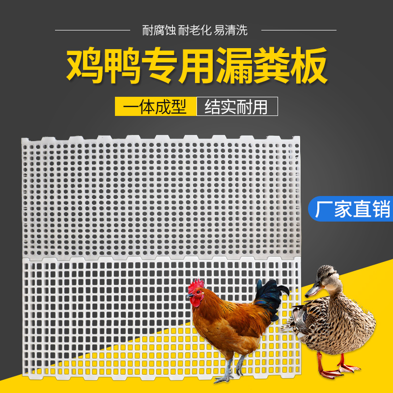 鸡用漏粪板加厚塑料地板鸡鸭鹅家禽用漏粪板接粪板隔粪板养鸡设备