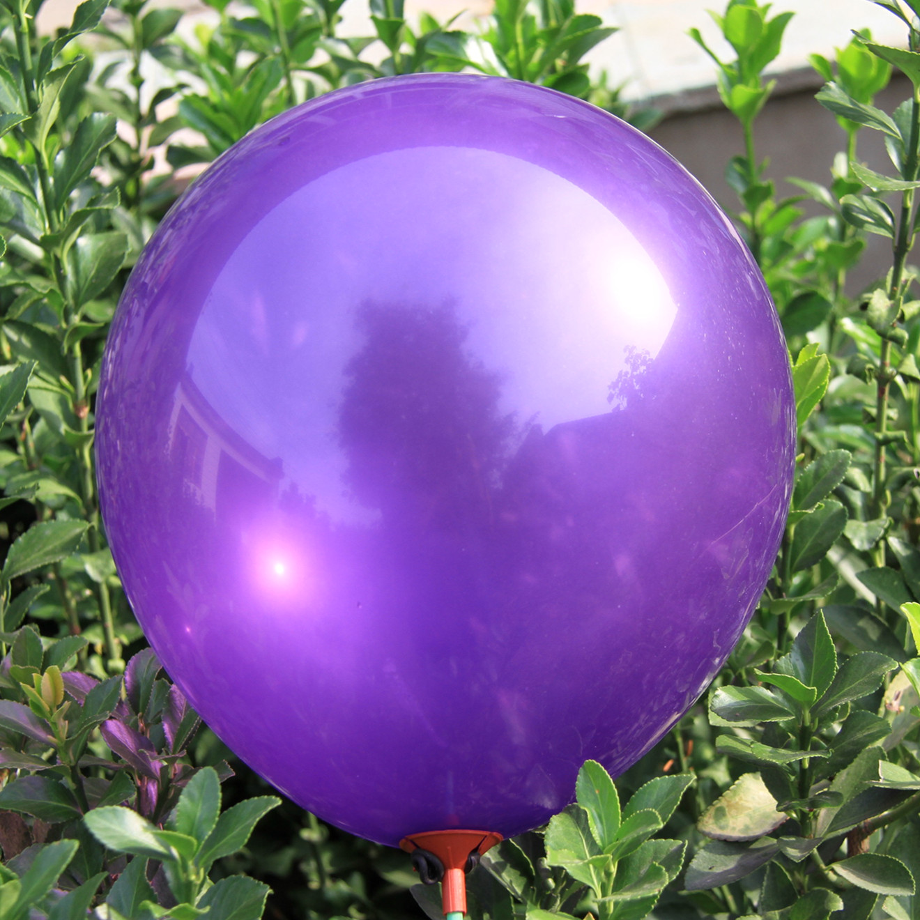 圆形气球加厚12英寸2.8克亚光访美标准色婚庆装饰拱门布置装饰