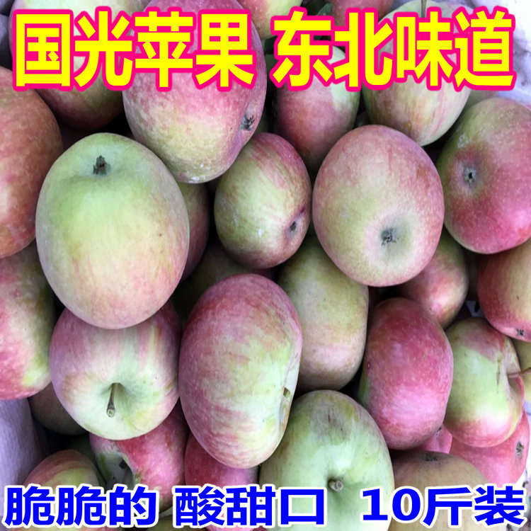 国光苹果 正宗老树国光 朝阳国光 辽宁特产 小苹果 新鲜苹果10斤