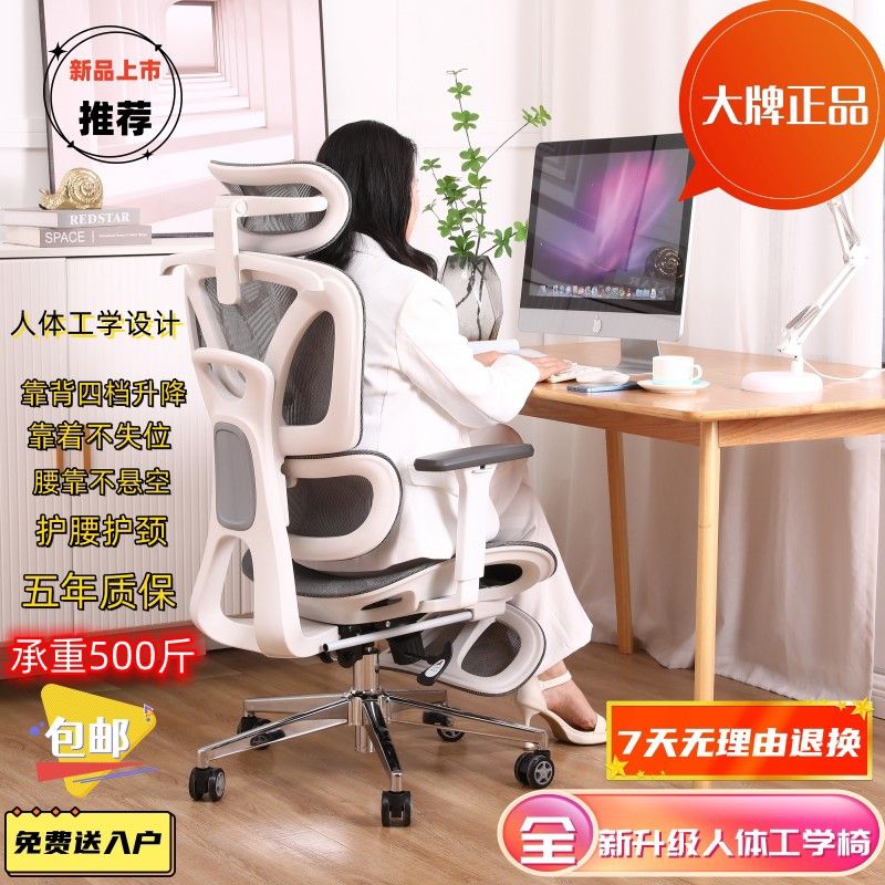 人体工学椅电脑椅办公椅午休靠背可升降护腰老板座椅专用舒适椅子