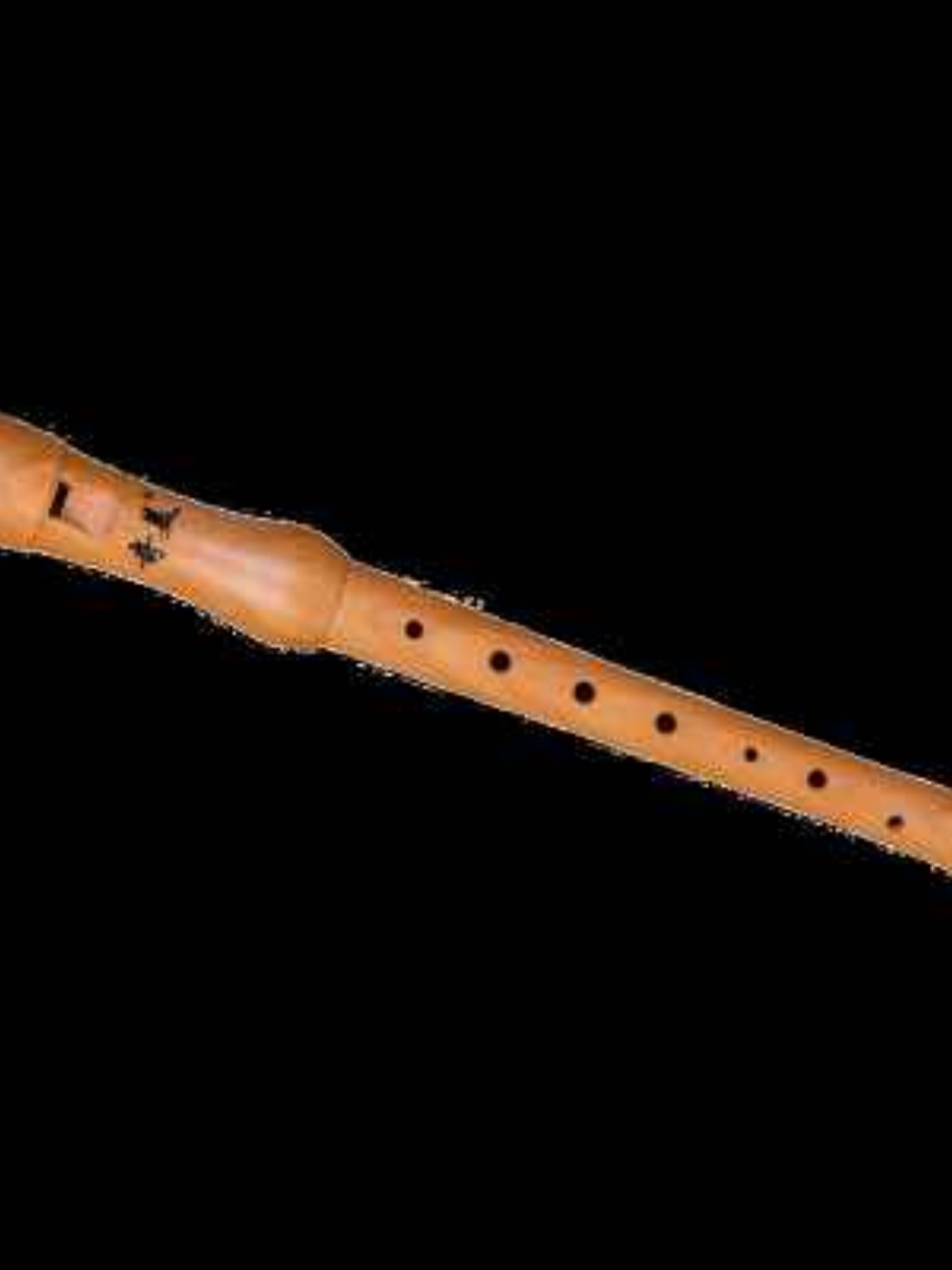 德孔8式笛子初学木质小学生乐器木儿童堂美八孔课高音竖笛奇竖笛