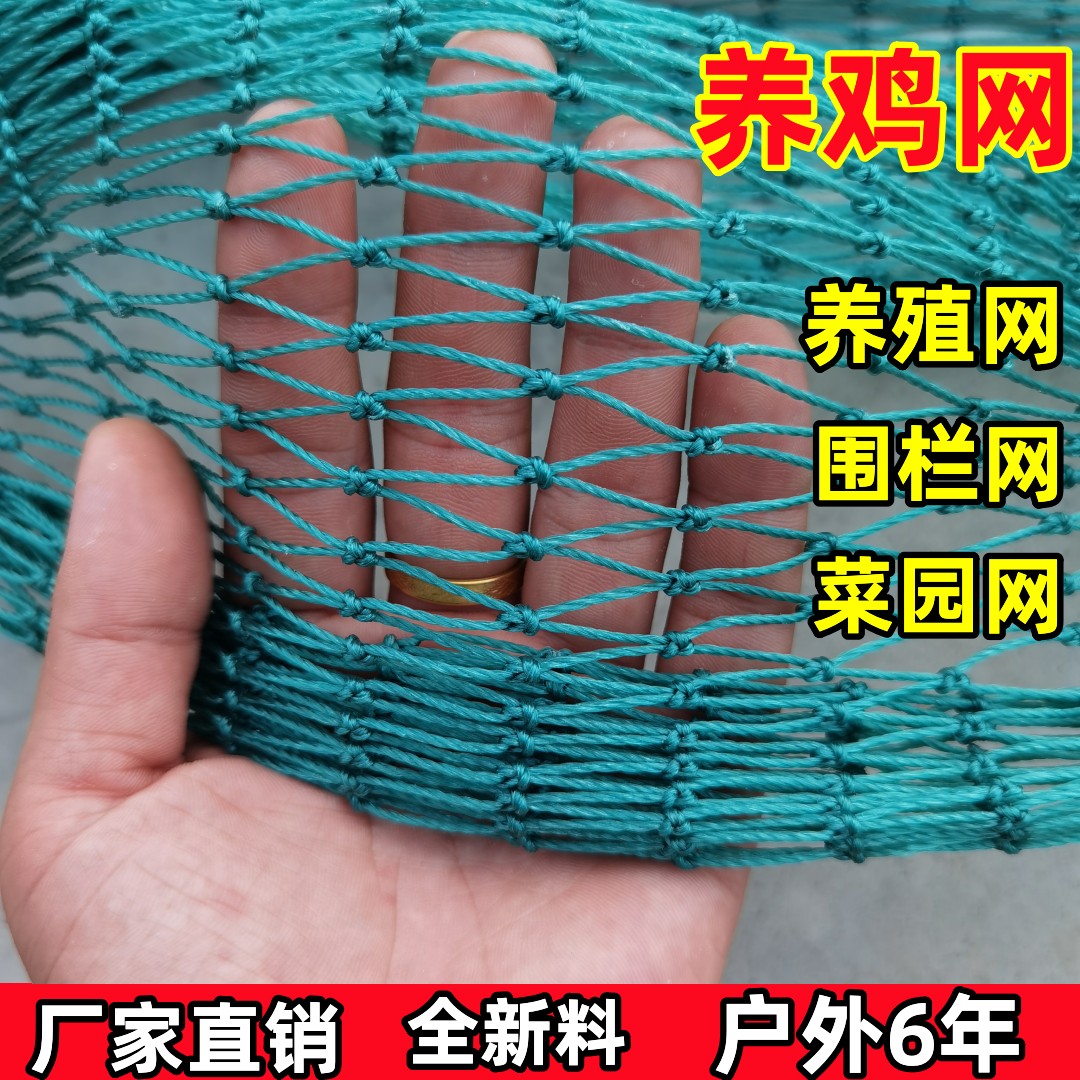 尼龙养殖网养鸡网护栏网塑料网鸡网菜园网防护网