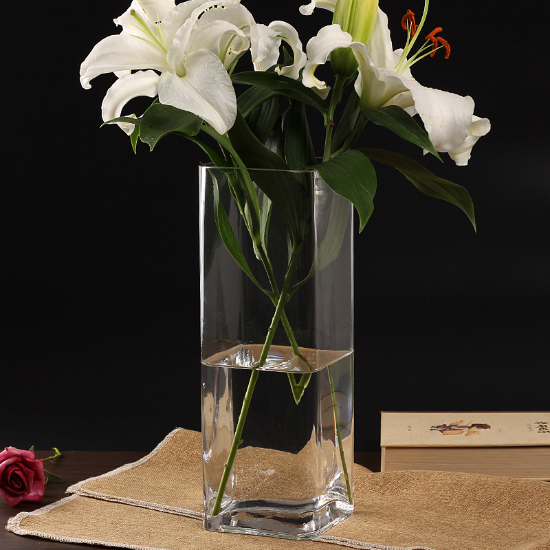 水晶玻璃透明网红百合花专用富贵竹方形直筒落地花瓶摆件客厅插花