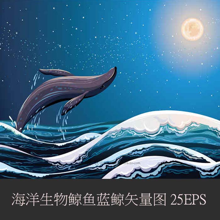 A0480矢量AI设计素材 海洋生物卡通鲸鱼蓝鲸插画背景
