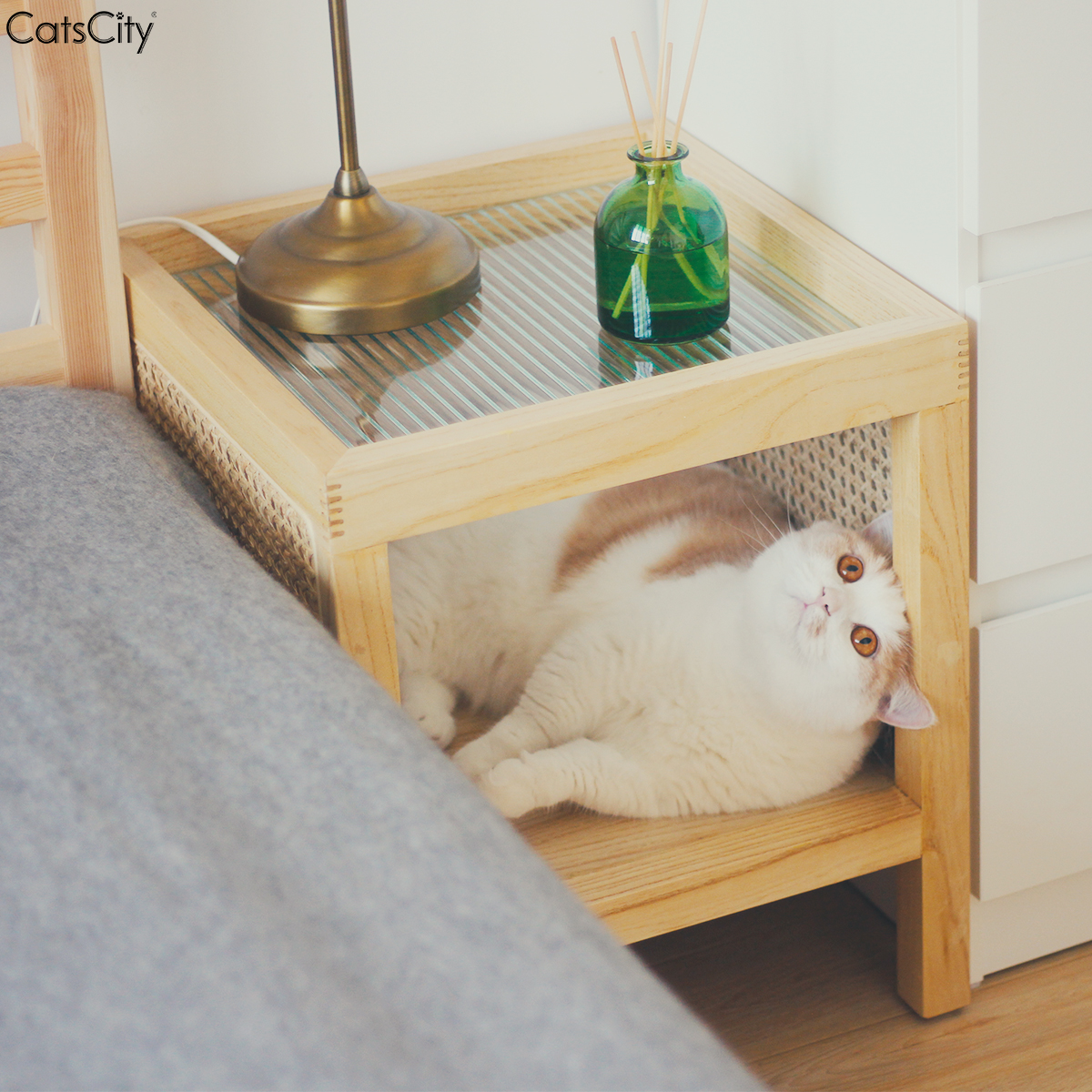 CatsCity原创设计北欧ins风藤编茶几猫窝人猫共用长虹玻璃床头柜