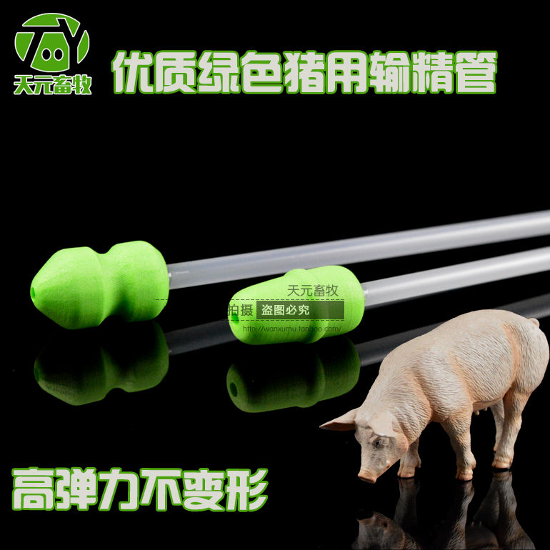 出口型猪人工授精管绿色输精管优质海绵头输精管母猪输精耗材