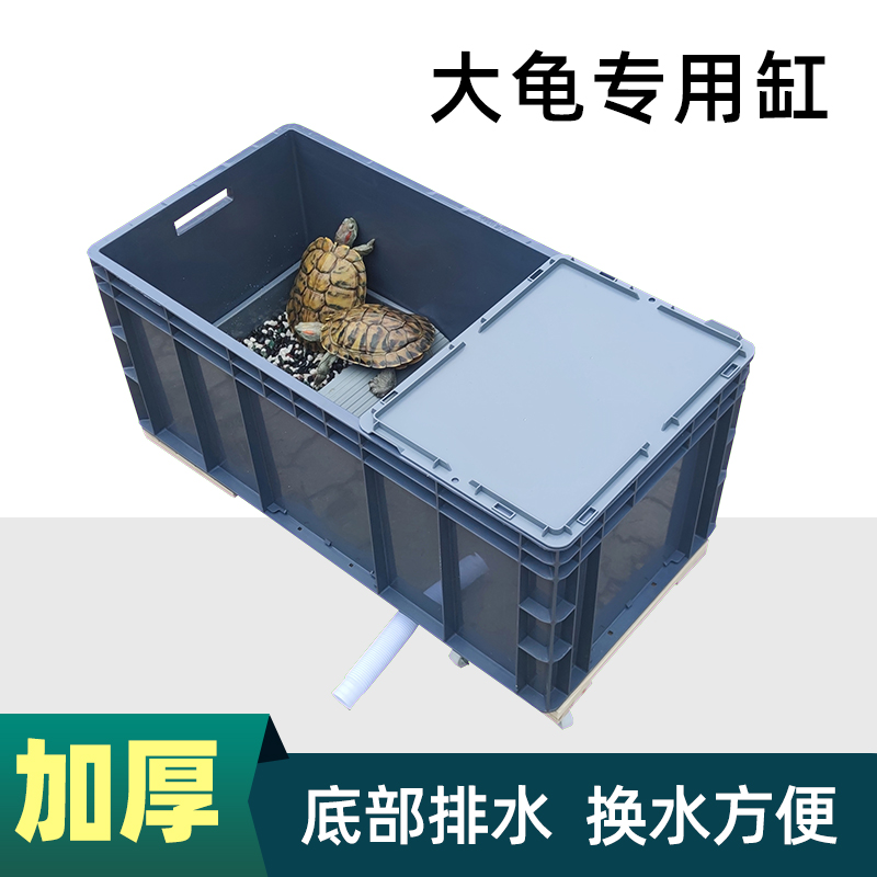 加厚乌龟缸周转箱龟缸长方形养龟箱专用缸饲养箱带排水巴西龟别墅