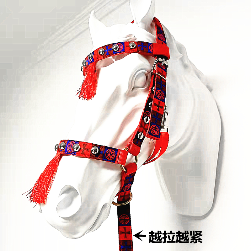 马龙头牵马马术运动马匹装备牵马龙套花色大小可调节