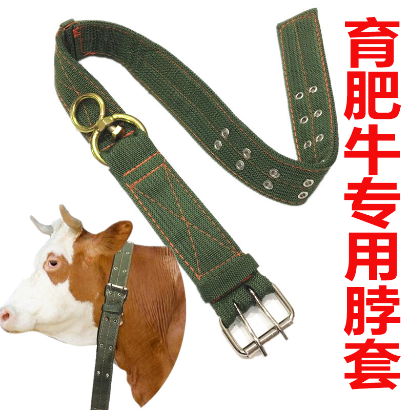 栓牛脖套项圈笼龙头套牛鼻环畜牧养殖专用绳子栓牛皮带加长加厚