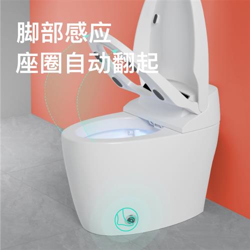 智能马桶一体式家用虹吸式遥控烘干座圈加热自动清洗臀部坐便器