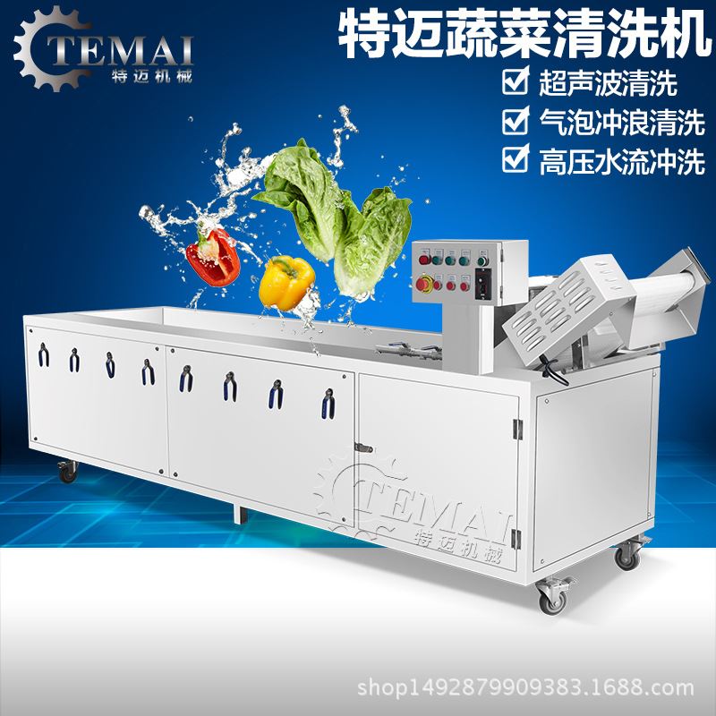 商用芽苗菜臭氧气泡清洗机 多功能黄豆提升式喷淋洗菜机 杂粮设备