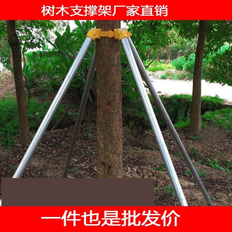 绿化行道 树木支撑架 大树园林支撑杆 苗木防风固定器 钢管支架