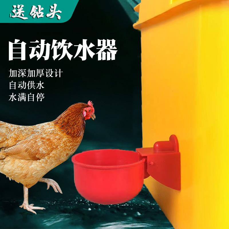 鸽子饮水器鸽子自动喝水碗饮水器水槽鹌鹑小鸡小鸭饮水器水满自停