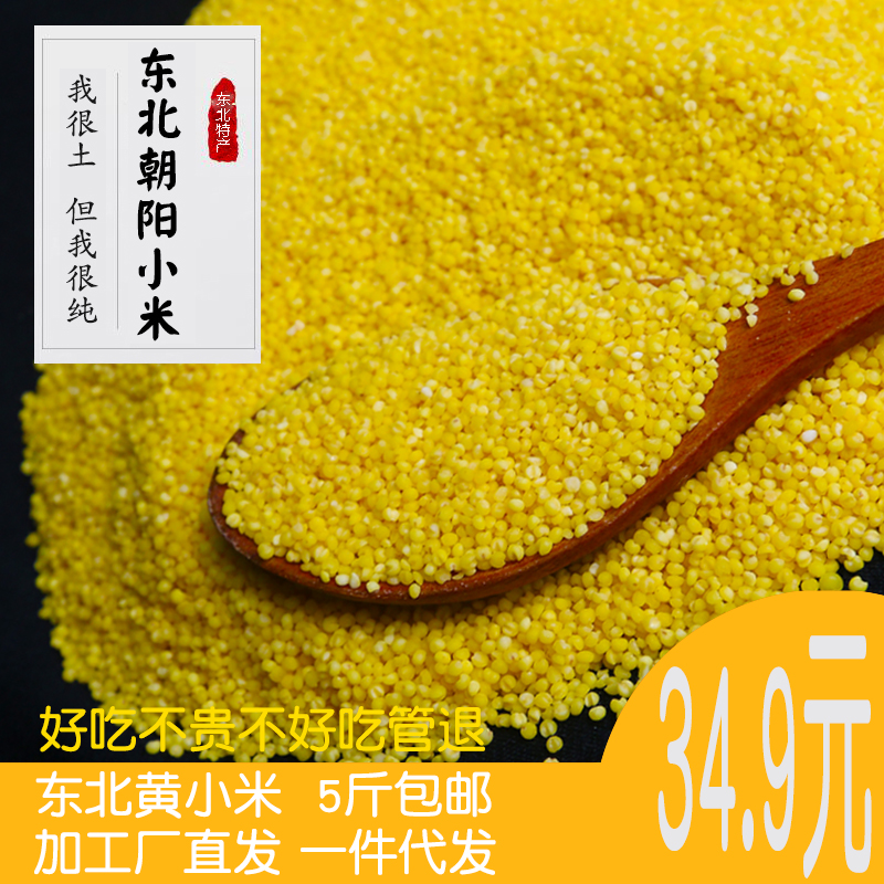 包邮5斤2023年东北特产朝阳宝宝小米粥杂粮黄小米新米粗粮月子米