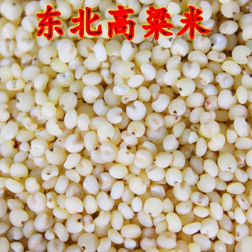 600克  正宗东北朝阳高粱米 粗粮 超低价促销 农家杂粮高粱米新米