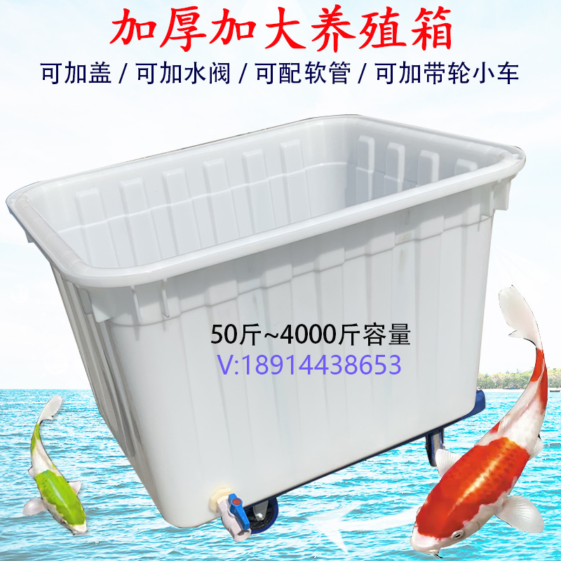 养鱼箱胶框带盖加厚带排水龙头塑料水箱特大号水产加水阀养殖水桶