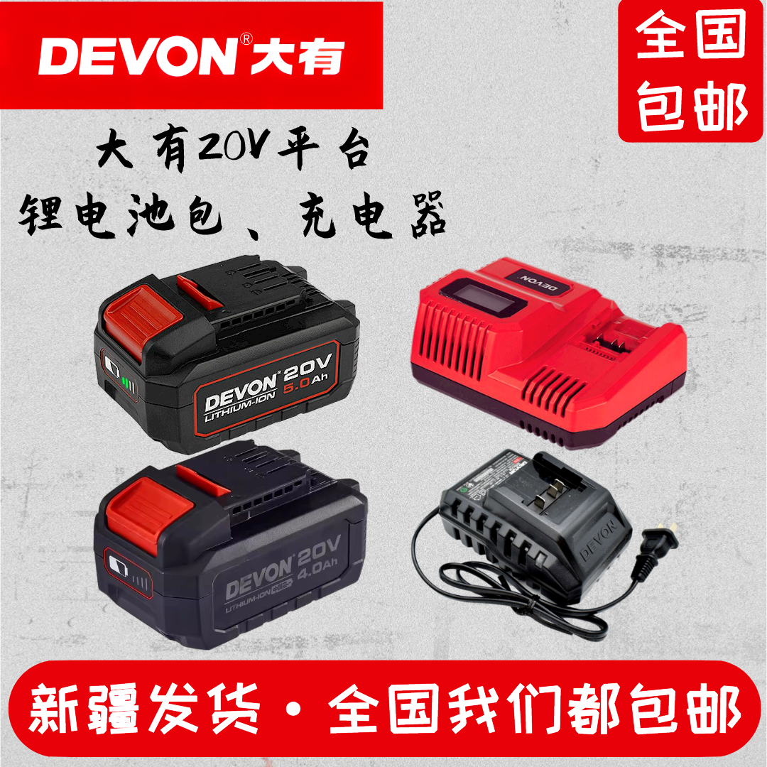 大有20V中国芯锂电池充电器标充闪充适配5401/5733/2903/5833等