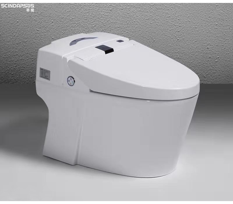 智能遥控马桶全自动感应换套坐便器卫浴暖风烘干座圈加热臀洗妇洗