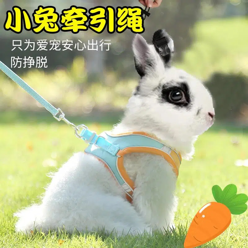 兔兔牵引绳溜兔子可调节防挣脱兔绳外出专用防咬可爱风溜兔网红绳