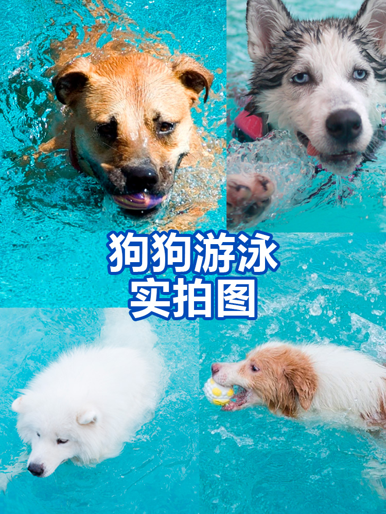 宠物狗狗可折叠游泳池大小型犬金毛泰迪专用浴缸洗澡桶猫咪洗澡盆